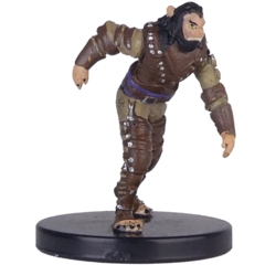 Shifter Rogue (unarmed)