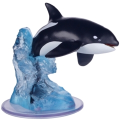 Killer Whale