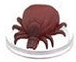 Giant Tick BIGBY PRESENTS: GLORY OF THE GIANTS