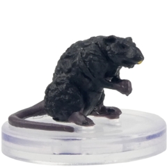 Rat      D&D WILD SHAPE & POLYMORPH SET 1