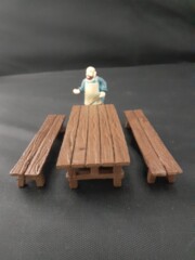 Long Table w/ Two Benches
