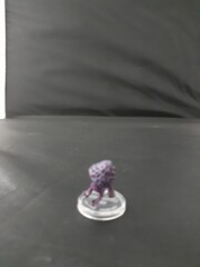 Myconoid Sprouts Snowbound