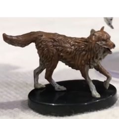Sled Dog