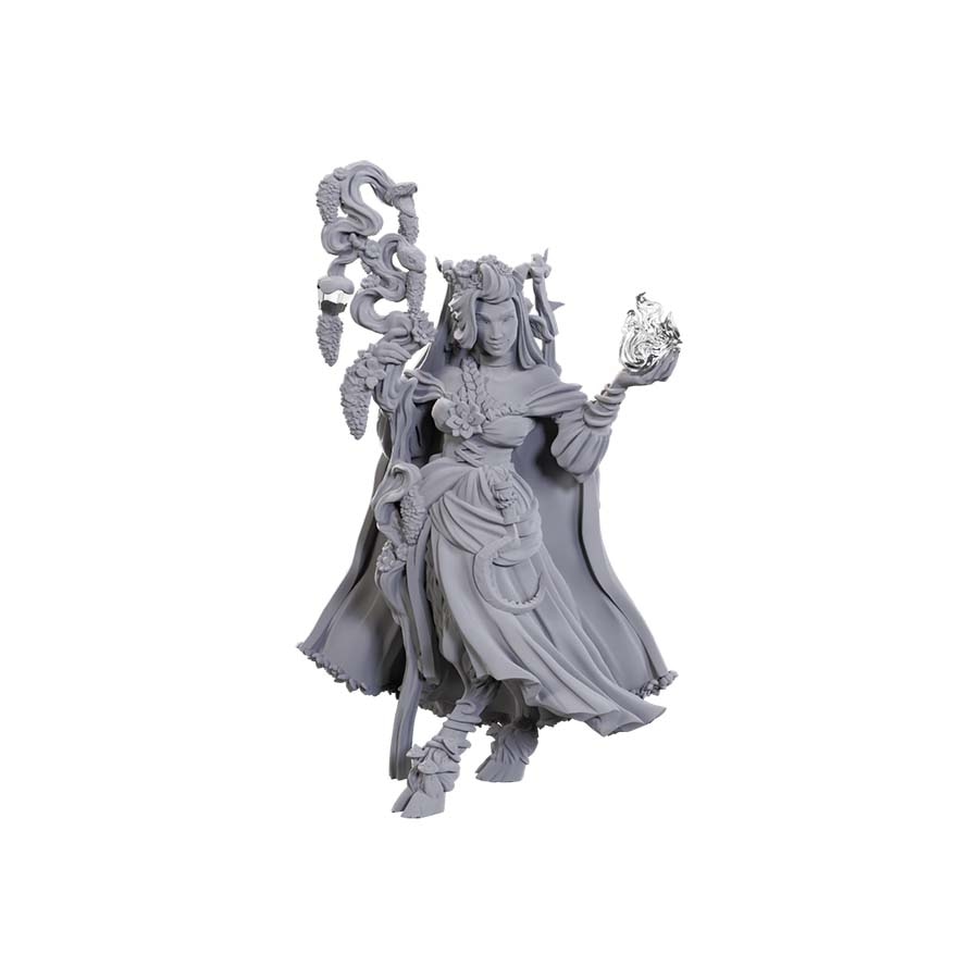 Critical Role Unpainted Miniatures: W23 Fearne Calloway & Mister