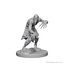 Dungeons & Dragons Nolzur`s Marvelous Unpainted Miniatures: W01 Ghouls