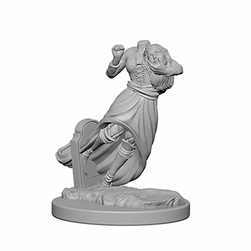 Dungeons & Dragons Nolzur`s Marvelous Unpainted Miniatures: W01 Ghosts