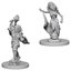 Dungeons & Dragons Nolzur`s Marvelous Unpainted Miniatures: W04 Medusas