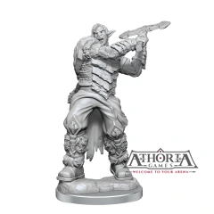 Critical Role Unpainted Miniatures: W04 Ashari Stoneguard & Ashari Skydancer