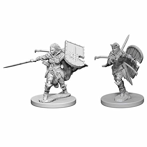 Pathfinder Deep Cuts Unpainted Miniatures: W01 Human Female Paladin