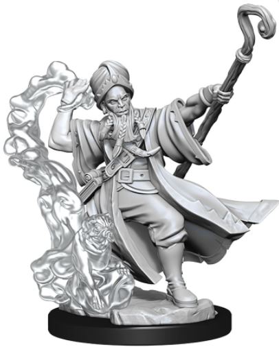 Dungeons & Dragons Frameworks: W01 Human Wizard Male