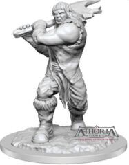 Dungeons & Dragons Nolzur`s Marvelous Unpainted Miniatures: W16 Ogre Female