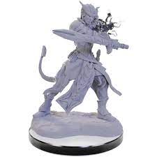 Dungeons & Dragons Nolzurs Marvelous Unpainted Miniatures: W22 Tiefling Warlocks
