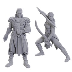 Dungeons & Dragons: Nolzurs Marvelous Unpainted Miniatures - Special Edition Baldurs Gate 3 - Jaheira & Halsin