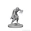 Dungeons & Dragons Nolzur`s Marvelous Unpainted Miniatures: W01 Ghouls