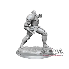 Critical Role Unpainted Miniatures: W04 Platinum Golem