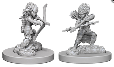 Pathfinder Deep Cuts Unpainted Miniatures: W06 Gnome Female Rogue