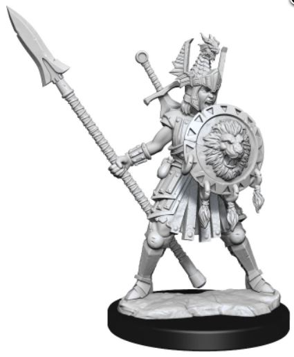 Dungeons & Dragons Frameworks: W01 Human Fighter Female