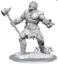 Dungeons & Dragons Nolzur`s Marvelous Unpainted Miniatures: W16 Cyclops