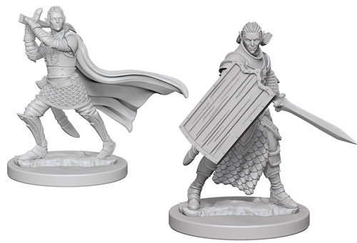Pathfinder Deep Cuts Unpainted Miniatures: W02 Elf Male Paladin