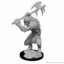 Dungeons & Dragons Nolzur`s Marvelous Unpainted Miniatures: W01 Gnolls