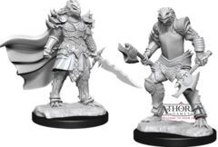 Dungeons & Dragons Nolzur`s Marvelous Unpainted Miniatures: W15 Dragonborn Fighter Female