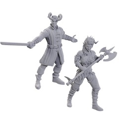 Dungeons & Dragons: Nolzurs Marvelous Unpainted Miniatures - Special Edition Baldurs Gate 3 - Wyll & Karlach