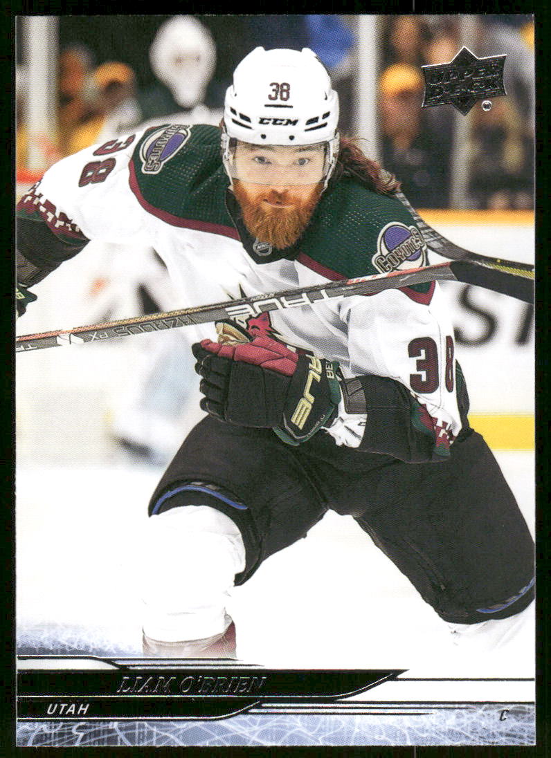 2024-25 Upper Deck #422 Liam OBrien