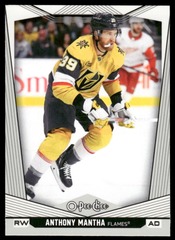 2024-25 O-Pee-Chee #210 Anthony Mantha
