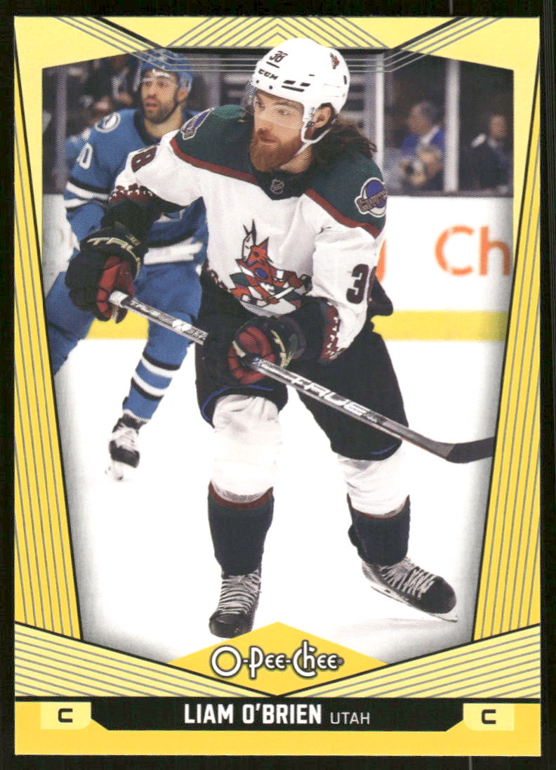 2024-25 O-Pee-Chee Yellow #193 Liam OBrien