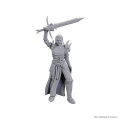 D&D Nolzur's Marvelous Miniatures: Blackguard