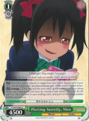 Plotting Secretly, Nico (LL/W24-E041 C)