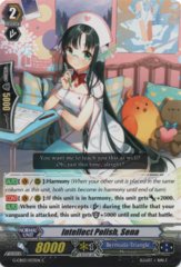 G-CB03/033EN - C - Intellect Polish, Seyna