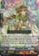 Chouchou, Selviz - G-CB05/045EN - C