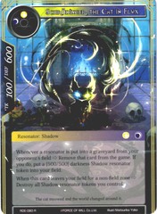 RDE-080 - R FOIL - Schrödinger, the Cat in Flux