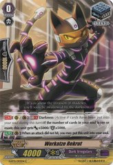 Werkatze Rekrut - G-BT11/093EN - C