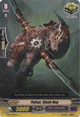 Pulsar, Slash Dog - G-BT11/100EN - C