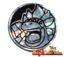 Mega Camerupt EX Coin