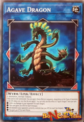 Agave Dragon - SOFU-EN048 - Common - 1st Edition