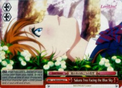 Sakura Tree Facing the Blue Sky - LL/W34-E066 - CC