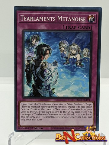 Miscut/MIsprint Tearlaments Metanoise - POTE-EN071 (1.146)