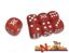 Pokemon Evolutions Red Dice