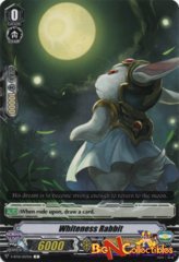 V-BT01/057EN - C - Whiteness Rabbit