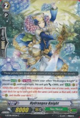 G-BT08/097EN - C - Hydrangea Knight