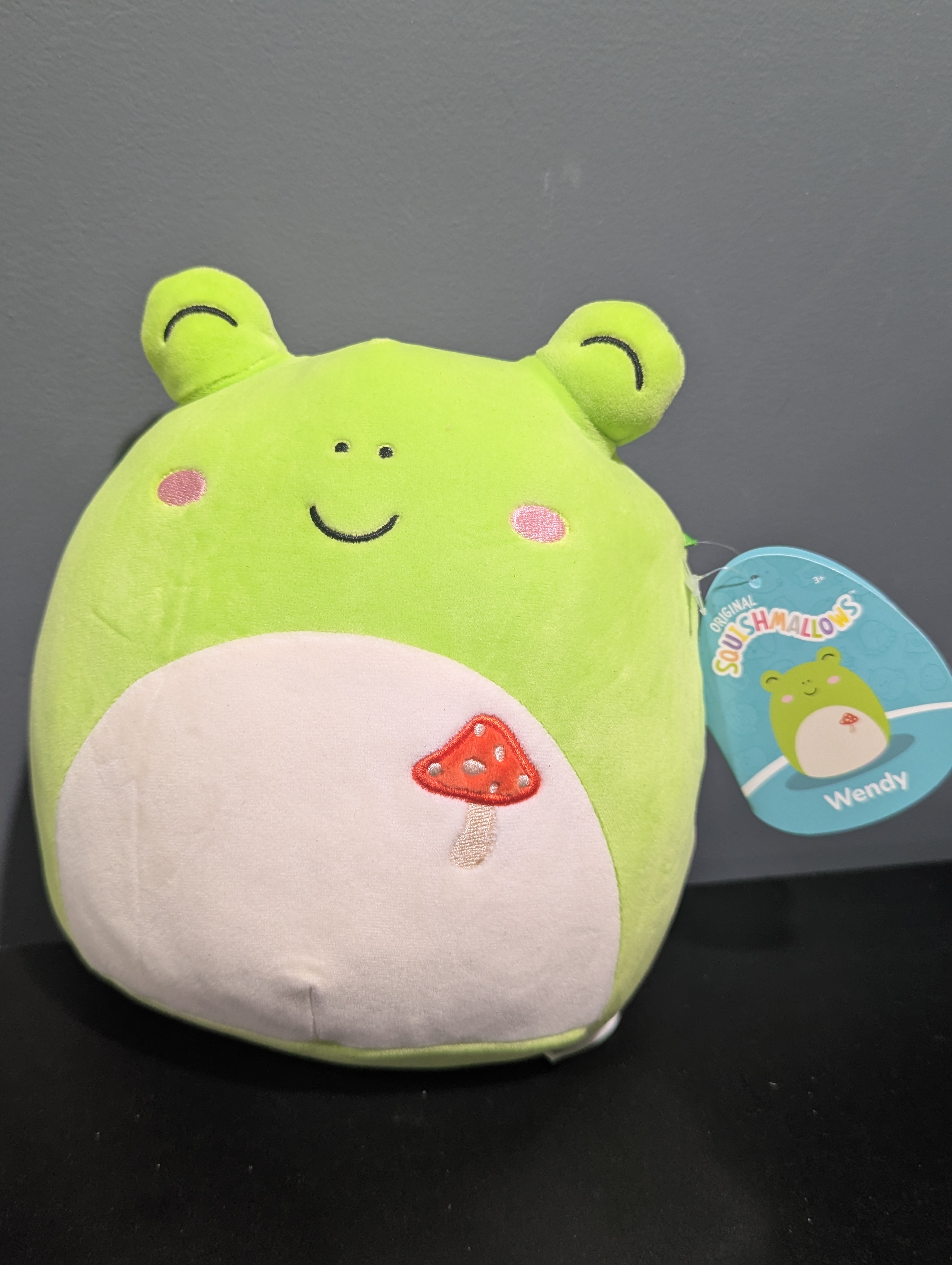 Squishmallows 8 Wendy the Frog w/ Mushroom NWT