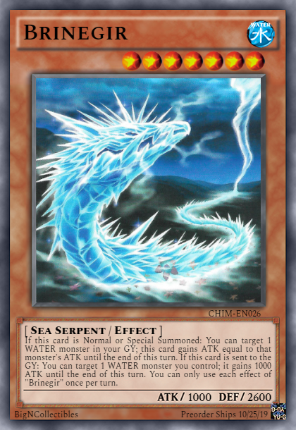 CHIM-EN026 - Brinegir - Common - 1st Edition