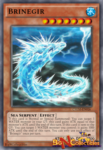 CHIM-EN026 - Brinegir - Common - 1st Edition