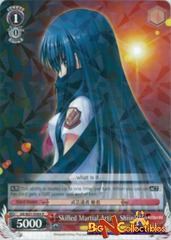 Skilled Martial Artist, Shiina - AB/W31-E064 - R