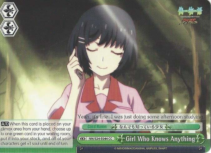 Girl Who Knows Anything - NM/S24-E044 - CC