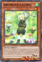 CHIM-EN017 - Aromage Laurel - Common - 1st Edition