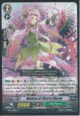 BT14/041EN Maiden of Cherry Bloom R
